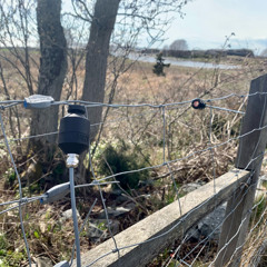 LOM Geophone on Wire Fence; Landsort, Sweden.