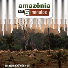 Amazônia em 5 minutos: Falta de transparência, fumaça e narcogarimpo