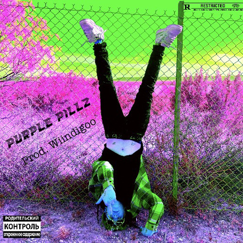 PURPLE PILLZ (prod. Wiindigoo)