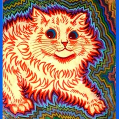 ʍɨռɖ ʏօʊʀ ʍǟɖռɛֆֆ 180-205𝖇𝖕𝖒