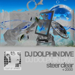 DJ Dolphin Dive - STEER CLEAR