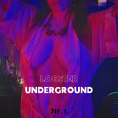 Progressive Household - Lobster Underground (Tommy Lobster B2B Tony Underground