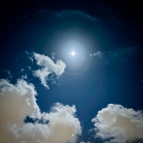 Dancing In The Moonlight by King Harvest (Isle of Kyle Cover feat. Shell)