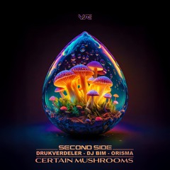 Certain Mushrooms (Original Mix)