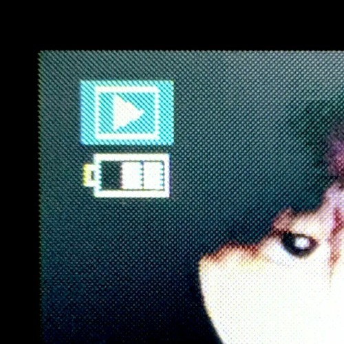polaroid