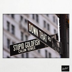Stupid Goldfish x Calum Venice - Down That Road