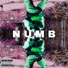 N U M B  Feat. Gubs