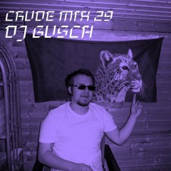 CRUDE MIX I 29 - DJ GUSCH