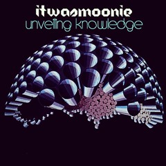 Unveiling Knowledge