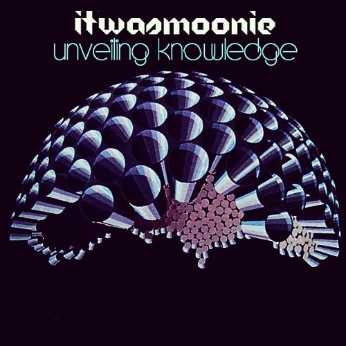 Unveiling Knowledge