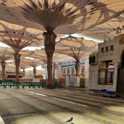 سورة الإنسان | أحمد النفيس - رواية ورش عن نافع