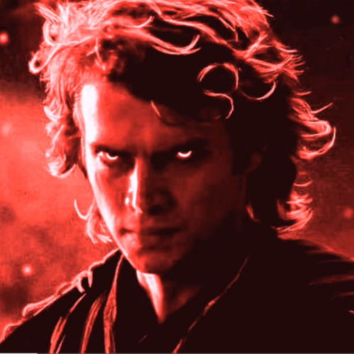 Anakin's gone i am what remains 8inch meyus