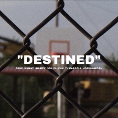 Destined (feat. Swaizy, 350, Eli PLM, TJ Carroll & JordanMicah)