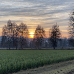 Wir wandern...