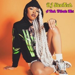 DJ SienTech "A Tink Tribute Mix"