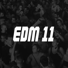 EDM 11 (Winter 2023/2024)