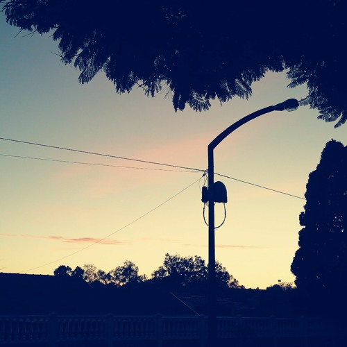 idle skies.