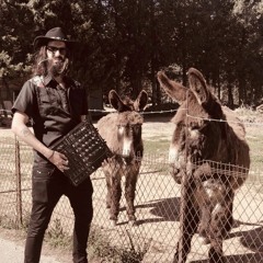 Transubtil Rec Showcase #06 - MEKANORMS