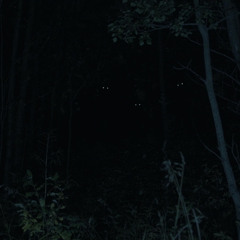 ambientone