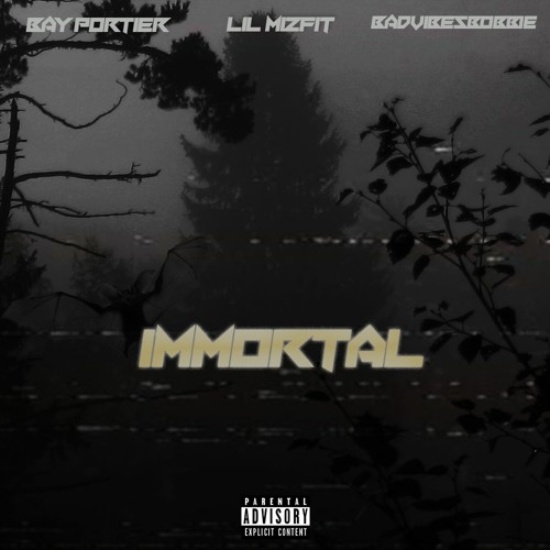 Immortal (feat. Ray Portier & badvibesbobbie) [21 Savage Freestyle]