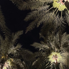 ‎⁨غايب حبيبي | عبدالمجيد عبدالله⁩