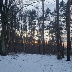 Path to Love