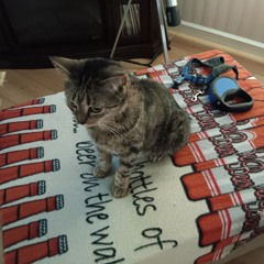 ricecake          gr4isen.  adolf          ezra styck.