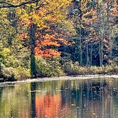 6. So Maybe . The Recyclists . Starry Plough 9.21.24