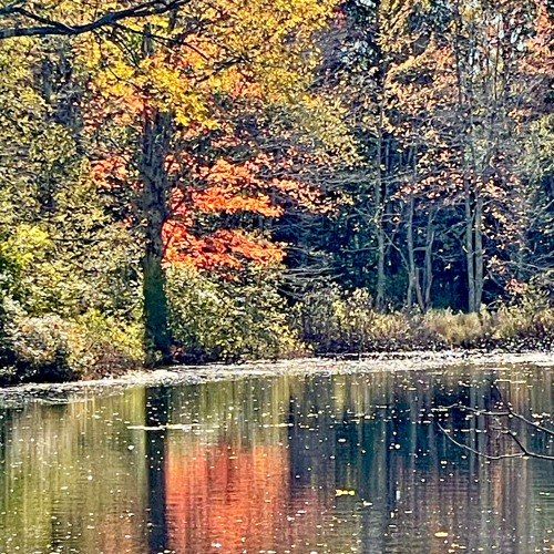 6. So Maybe . The Recyclists . Starry Plough 9.21.24