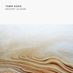 PREMIERE: Trøm Borg - Return Of The Second Moon (Noah Lyas Remix) [ Indefinite Pitch ]