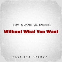 Tom & Jame VS. Eminem - Without What You Want (Paul STR Mashup) / Supported By Tom & Jame