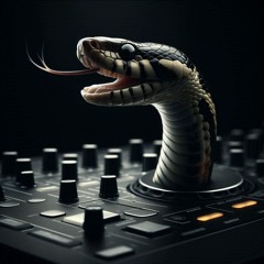 Downtech/Shneckno mix