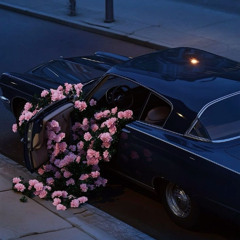 Coupes and Roses Love Muse Mashup