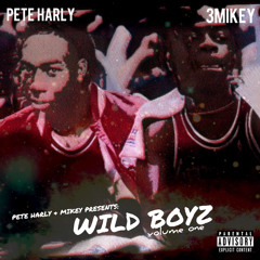 BEAUTIFUL WILD GIRLZ EVERYWHERE! (feat. Pete Harly)