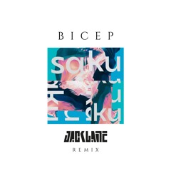 Bicep - Saku (Jack Lane Remix) [Free via jacklanemusic.com]