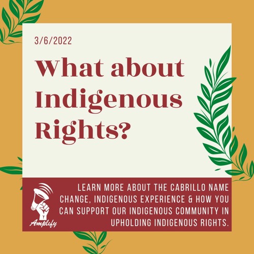What About Indigenous Rights?