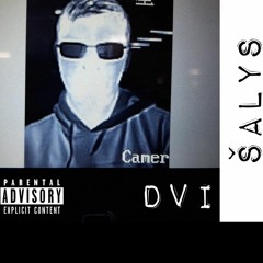 DVI ŠALYS