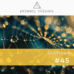 Primary [colours] Mix Series #45 - Stillhead