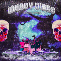 SWXGL3NS, WHY6XLY - PURPLE TH.