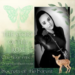 The Story of the Rose🌹1 hour mix 📖 original ambient music 🗝 𓇢𓆸.𖥔 ݁ ˖