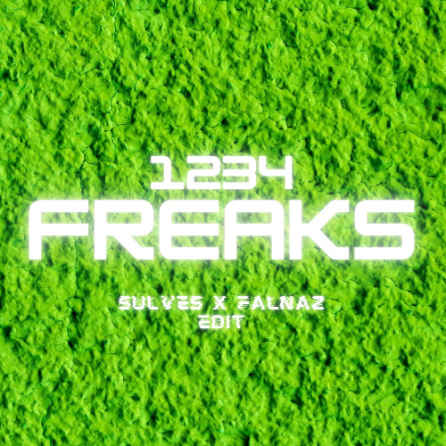1234 X FREAKS (FLNZ & SULVES VIP MASH EDIT)