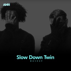 Slow Down Twin