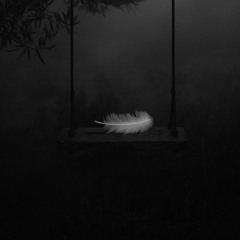 علیرضا قربانی  پرواز قوها Mahi Slowed&Reverb Edit