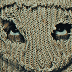 VINO BANDIT