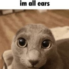 Meow