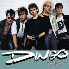 Nimeni on Dingo
