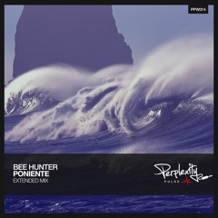 Bee Hunter - Poniente (Extended Mix)