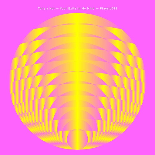 1 - Tony Y Not - Your Exile In My Mind - Snippet