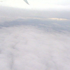 Cup 150bpm Rachelsaks4   [SuiteSymphony]