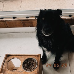 Beacons Sound Brigade  - Live at the Sands: Vol. II